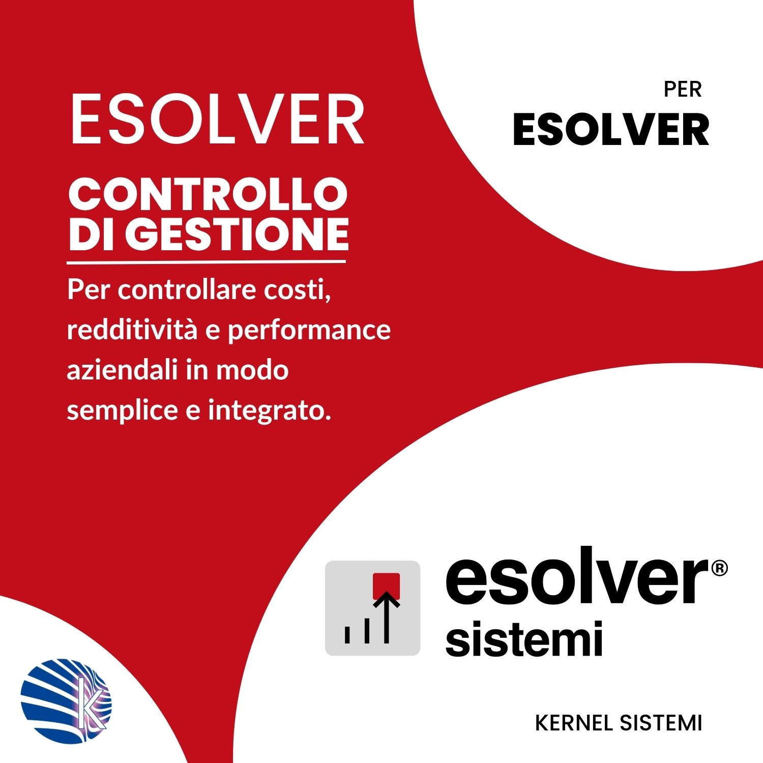 ESOLVER Controllo di gestione